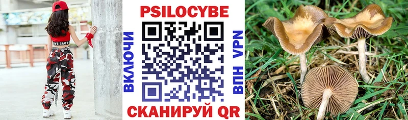 Псилоцибиновые грибы ЛСД  Лагань 