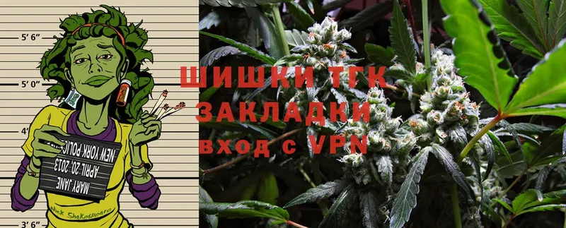 Конопля SATIVA & INDICA  купить закладку  Лагань 